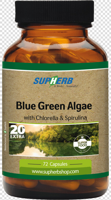 Blue Green Algae   Spirulina Supherb  HD Png DownloadTransparent PNG