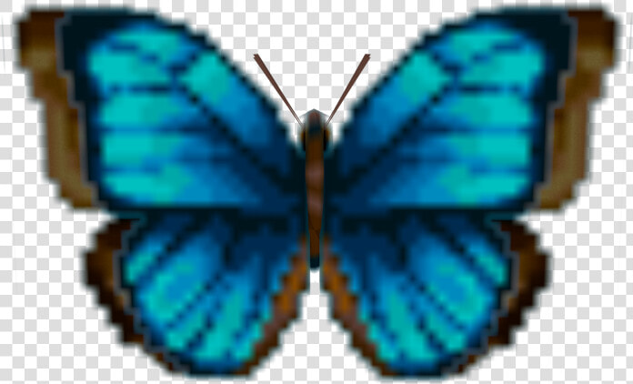 Download Zip Archive   Emperor Butterfly Png Animal Crossing  Transparent PngTransparent PNG