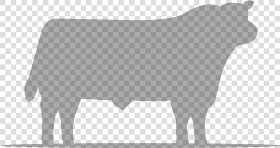 Aberdeen Angus Society Logo  HD Png DownloadTransparent PNG