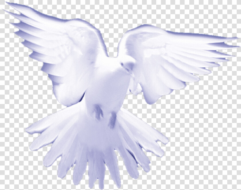 White Birds On Heaven   Png Download   Holy Spirit White Doves  Transparent PngTransparent PNG