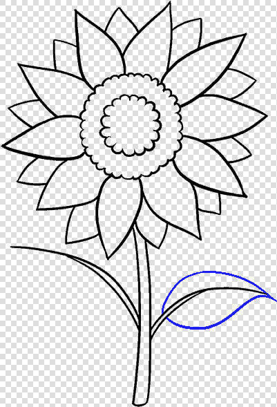 How To Draw Sunflower   Aesthetic Sunflower Drawing Easy  HD Png DownloadTransparent PNG