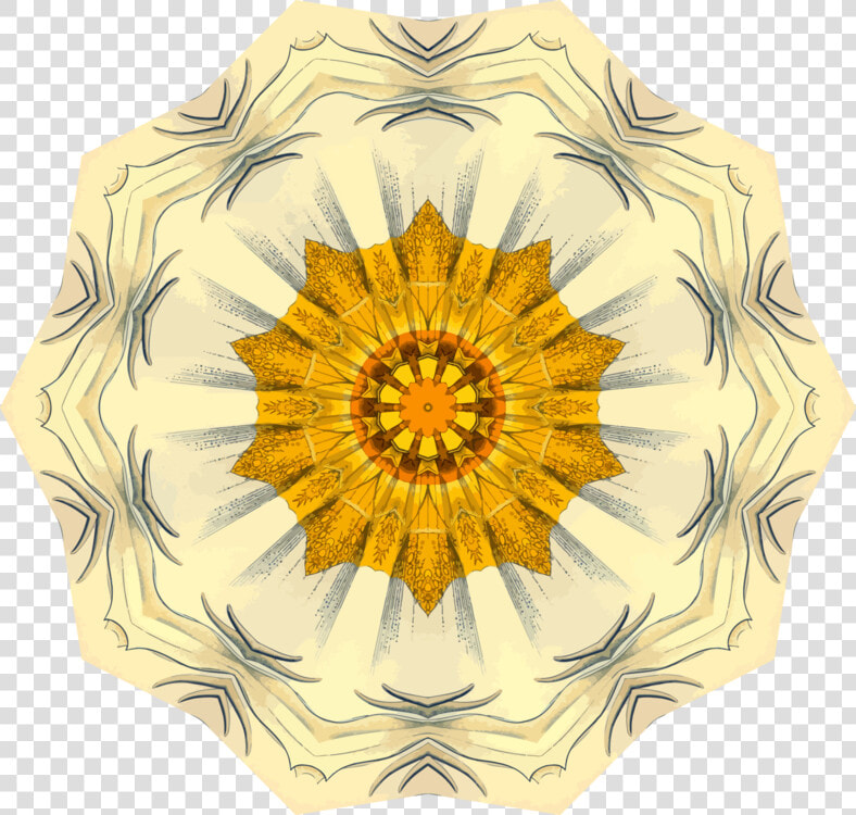 Transparent Fire Flower Png   Motif  Png DownloadTransparent PNG