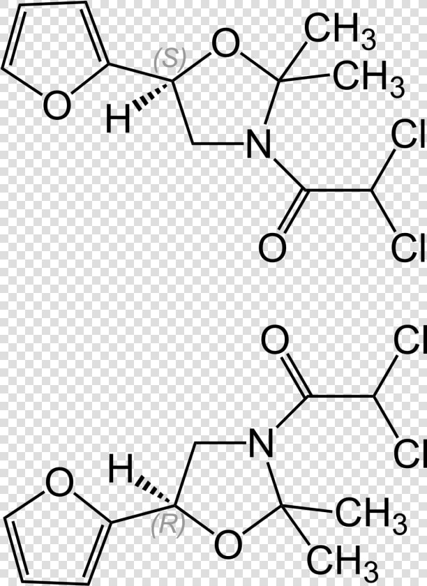 Dimethyl Tere Phthalate Structure  HD Png DownloadTransparent PNG