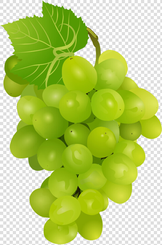 Currant   Green Grapes Pngs Transparent  Png DownloadTransparent PNG