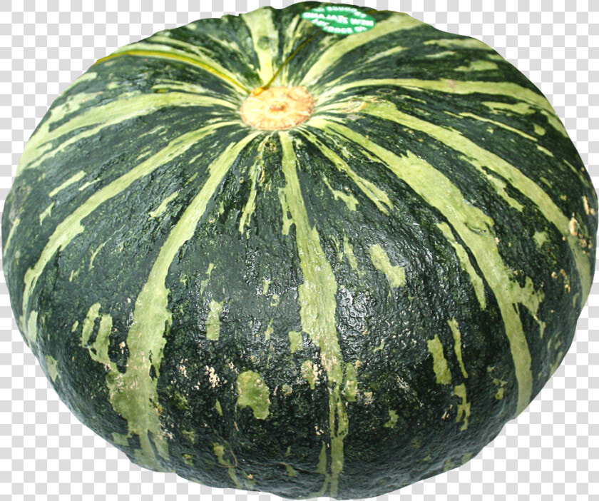 Winter Gourd  And Melon Squash fruit figleaf Gourd produce vegetarian   Pumpkin Images Hd Png  Transparent PngTransparent PNG