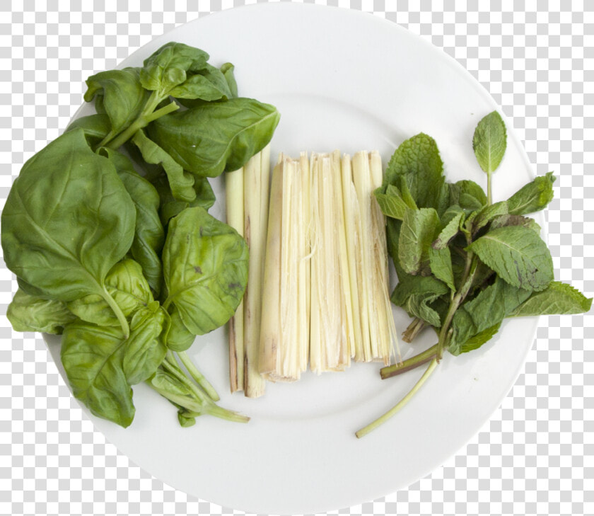 Hydroponic Cocktail Mix   Spaghetti  HD Png DownloadTransparent PNG