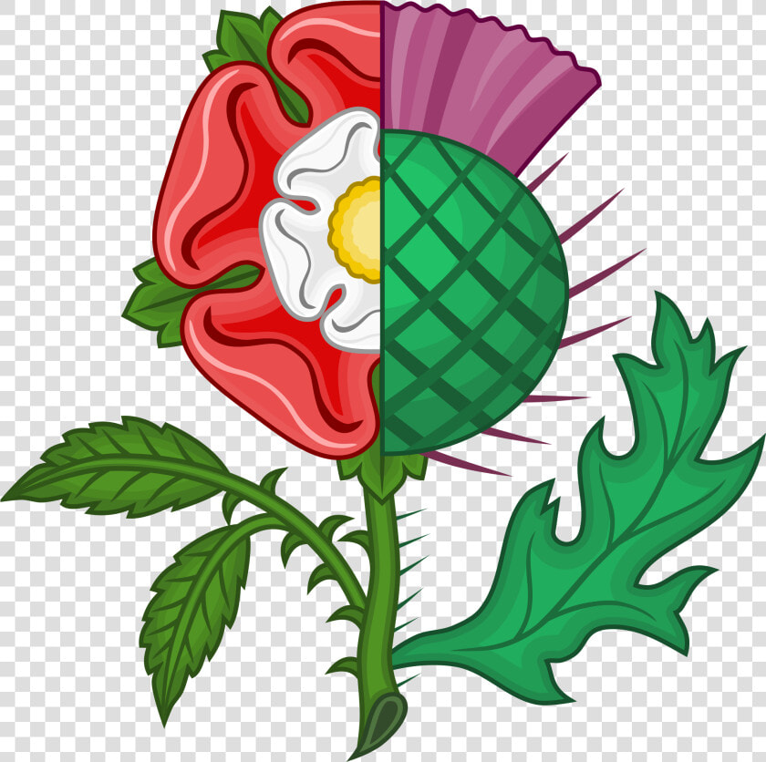 Clip Art Scottish Thistle   Symbol Of Christmas In Scotland  HD Png DownloadTransparent PNG