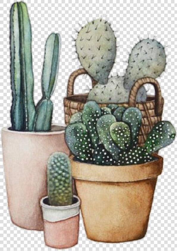  cactus  tumblr  cool  interesting  art  nature  green   Watercolor Painting  HD Png DownloadTransparent PNG