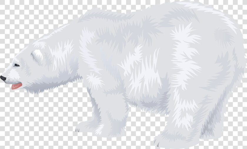 Download This High Resolution Polar Bear Transparent   Transparent Background Clip Art Polar Bear  HD Png DownloadTransparent PNG