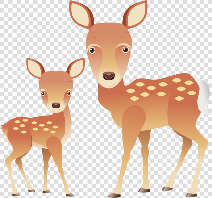 Fawn Drawing White Tailed Deer   Deer Cartoon Png Transparent  Png DownloadTransparent PNG