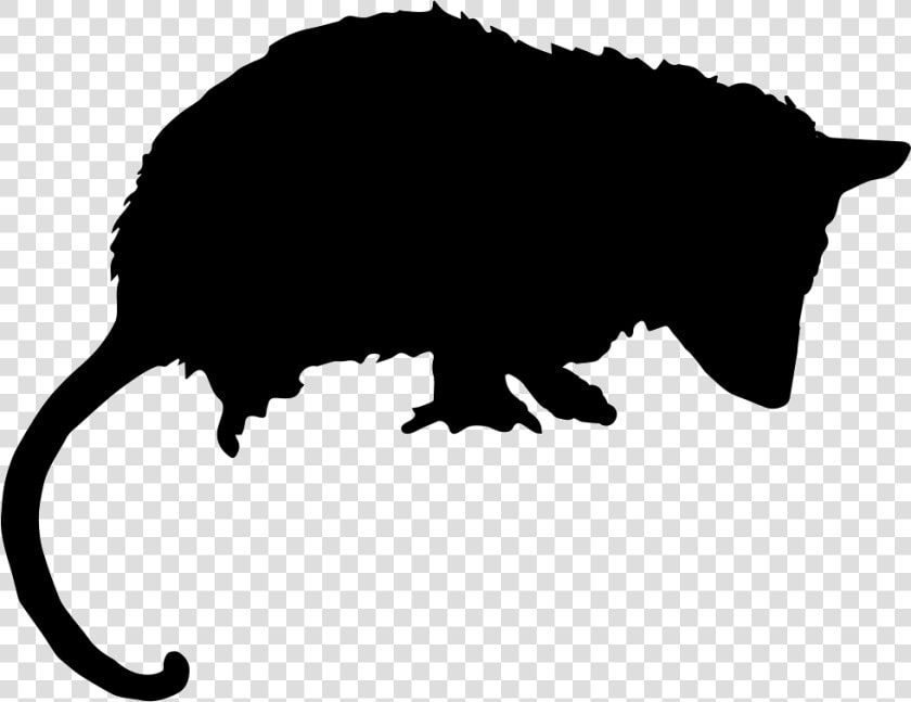 Opossum Mammal Animal Silhouette   Opossum Svg  HD Png DownloadTransparent PNG