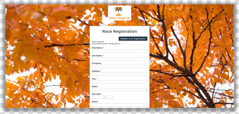 Nonprofit Event Registration Software   Background Images Of Fall  HD Png DownloadTransparent PNG