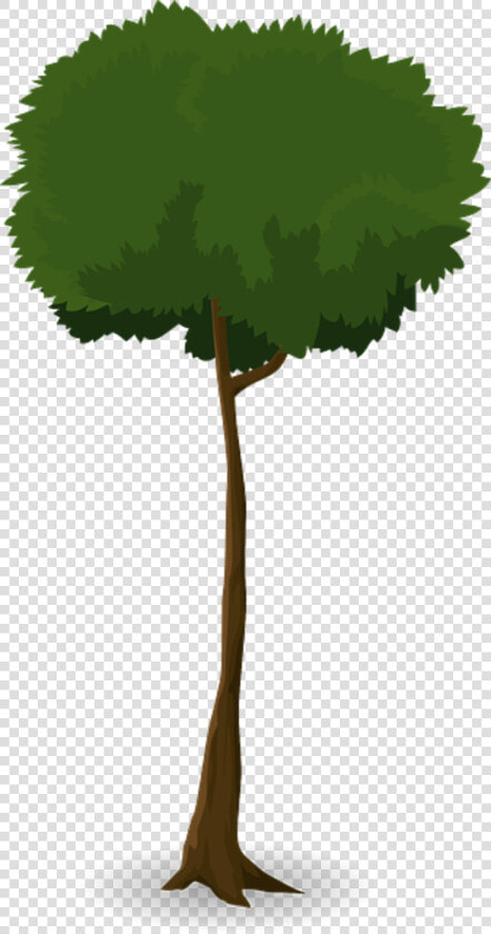 Tree Trunk Nature Leaves Branches Graphic Organic   Trunk  HD Png DownloadTransparent PNG