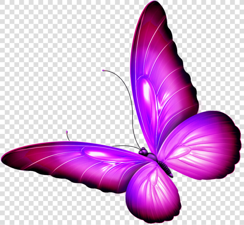  butterfly  wings  pink  purple  shaded  wingedcreatures   Brush footed Butterfly  HD Png DownloadTransparent PNG