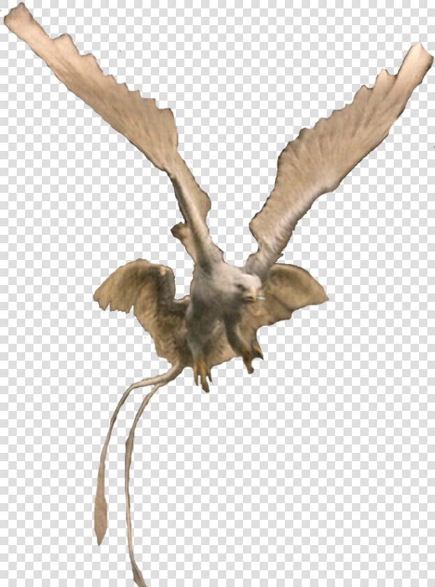 Fantastic Beasts Creature Thunderbird  HD Png DownloadTransparent PNG