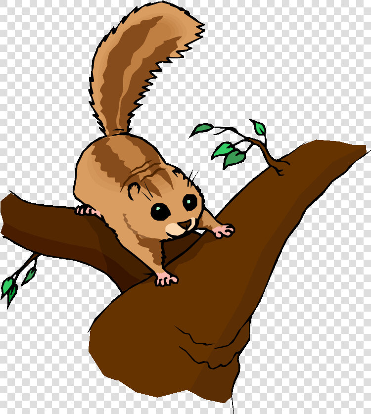 Cute Cougar Clip Art   Chipmunk In Tree Clipart  HD Png DownloadTransparent PNG