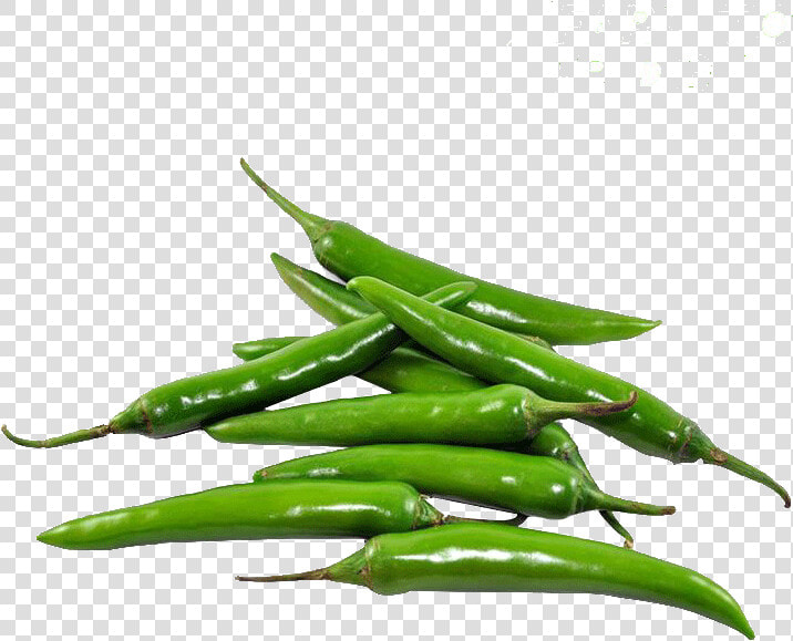 Transparent Green Pepper Png   Transparent Green Chilli Png  Png DownloadTransparent PNG