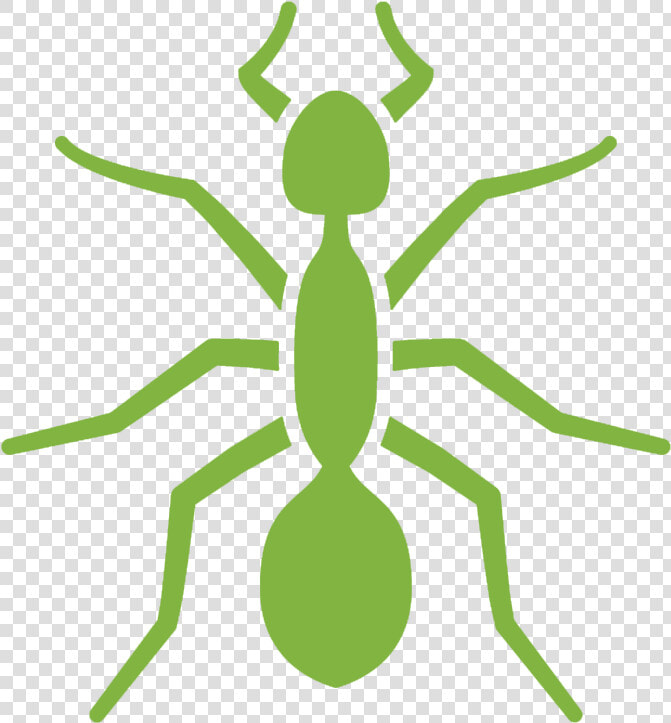 Pest Control Services   Ants Logo  HD Png DownloadTransparent PNG