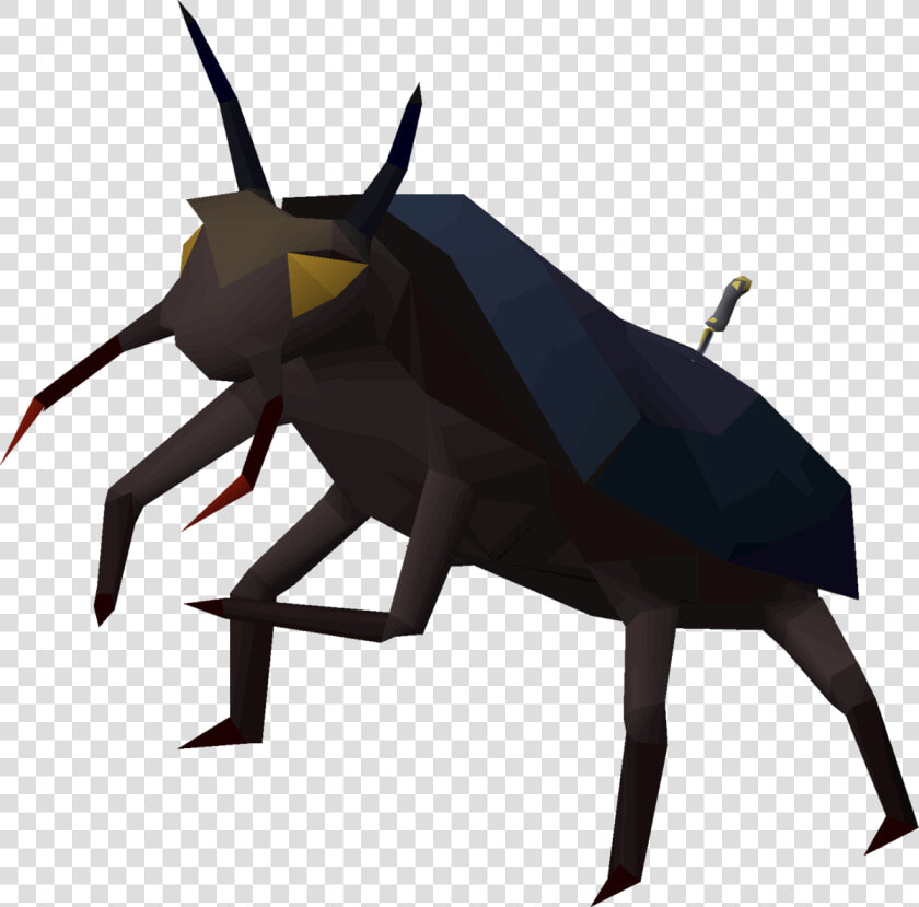 Weevil  HD Png DownloadTransparent PNG