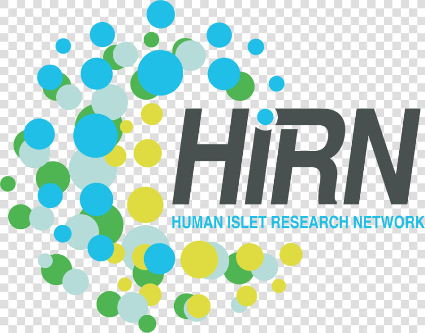 Human Islet Research Network  HD Png DownloadTransparent PNG