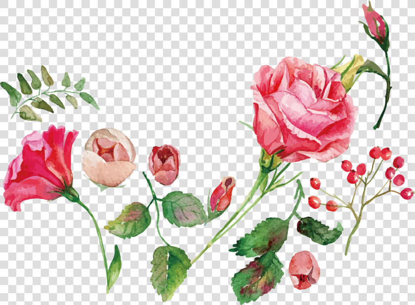 Watercolor Painting Flower Rose Royalty free   Flower Watercolor Painting Png Free  Transparent PngTransparent PNG