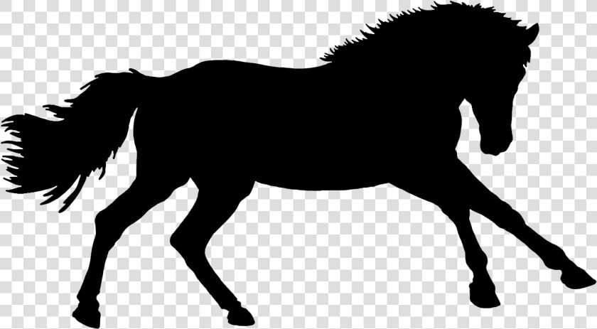 Pferd Silhouette  HD Png DownloadTransparent PNG