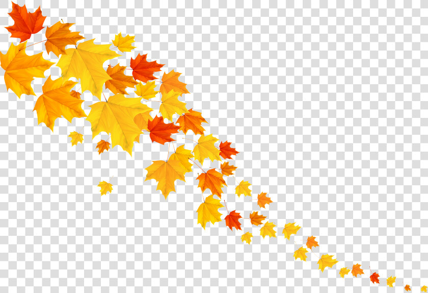 Decorative Clipart Autumn   Fall Decoration Png  Transparent PngTransparent PNG