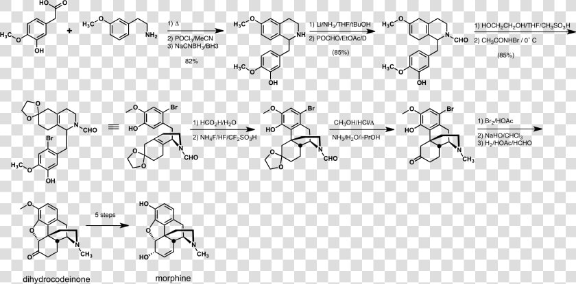 Rice Morphine Synthesis   Chemical Synthesis Of Morphine  HD Png DownloadTransparent PNG