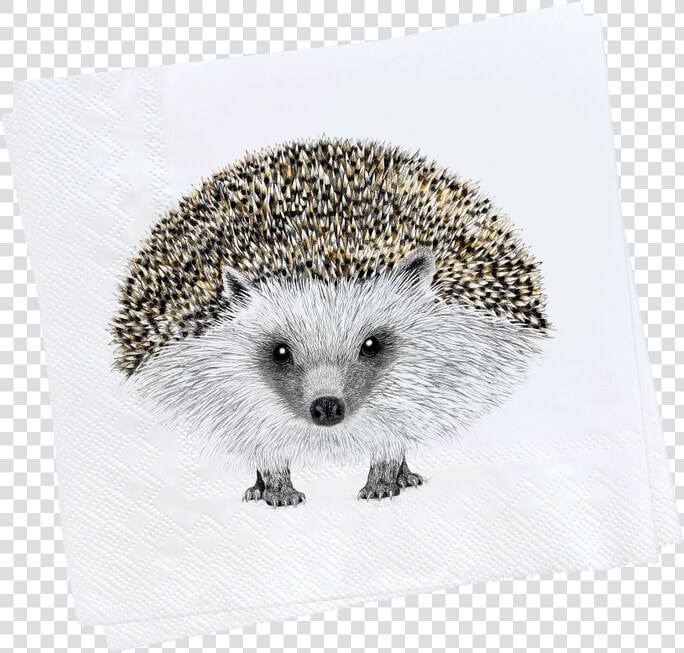 Henry Napkin Web 1000x   Domesticated Hedgehog  HD Png DownloadTransparent PNG