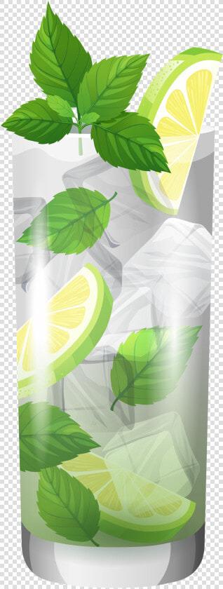 Transparent Cocktail Mojito Png Clipart   Mojito Clip Art  Png DownloadTransparent PNG