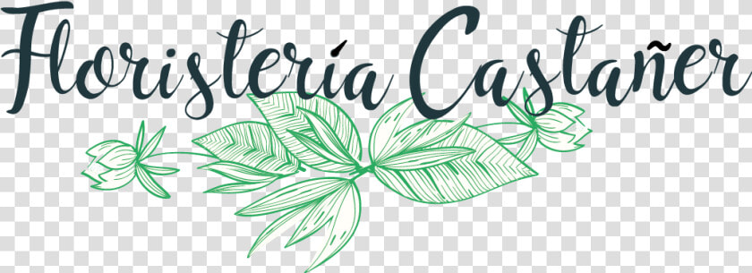 Floristería Castañer Madrid   Calligraphy  HD Png DownloadTransparent PNG