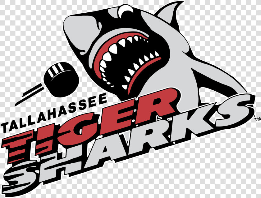 Tallahassee Tiger Sharks  HD Png DownloadTransparent PNG