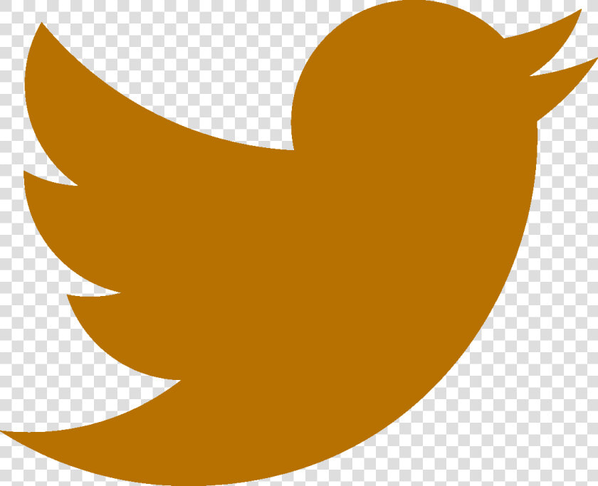 Transparent Twitter Bird Logo Png Transparent   Gold Twitter Logo Transparent  Png DownloadTransparent PNG