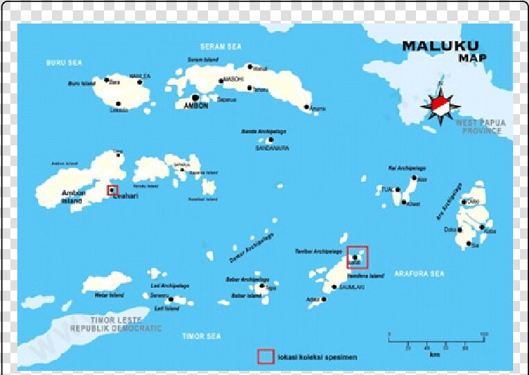 Maluku Map  HD Png DownloadTransparent PNG