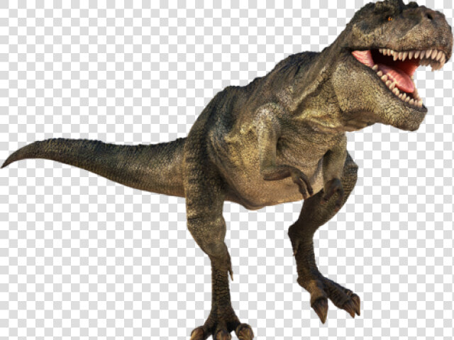 Dinosaur Png Transparent Images   T Rex Dinosaur Png  Png DownloadTransparent PNG