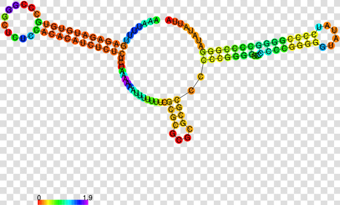 Fantasy Rna   Circle  HD Png DownloadTransparent PNG