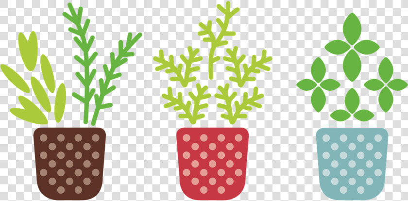 Transparent Plant Transparent Png   Potted Plant Clipart Transparent Background  Png DownloadTransparent PNG