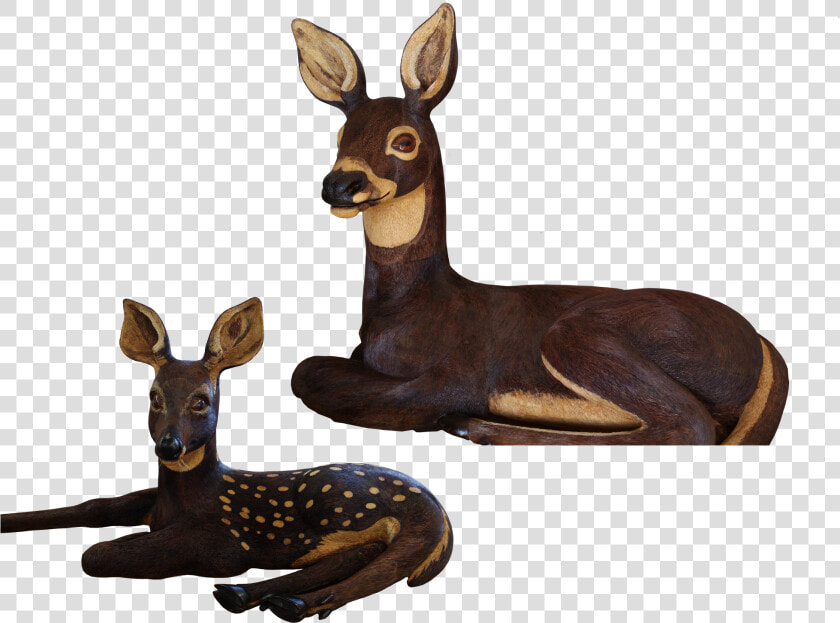 Roe Deer  HD Png DownloadTransparent PNG