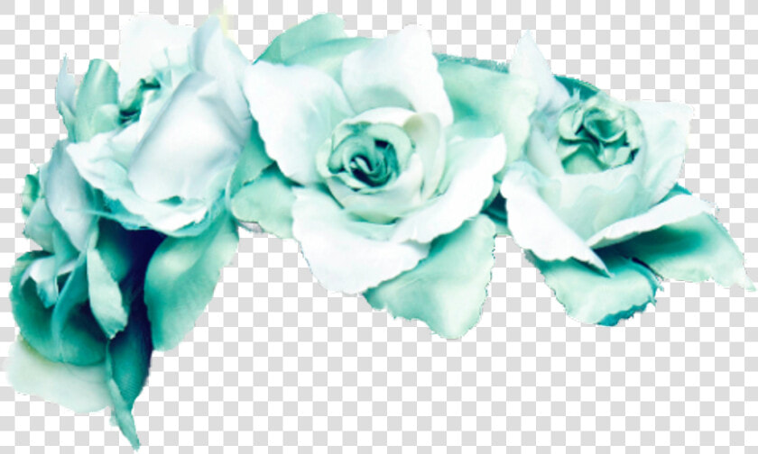  blue  turqoise  flower  crown  flowercrown  rose  roses  HD Png DownloadTransparent PNG