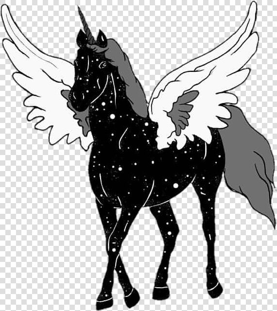 Unicorn Tumblr Galaxy Blackandwhite   Png Download   Galaxy Transparent Unicorns  Png DownloadTransparent PNG