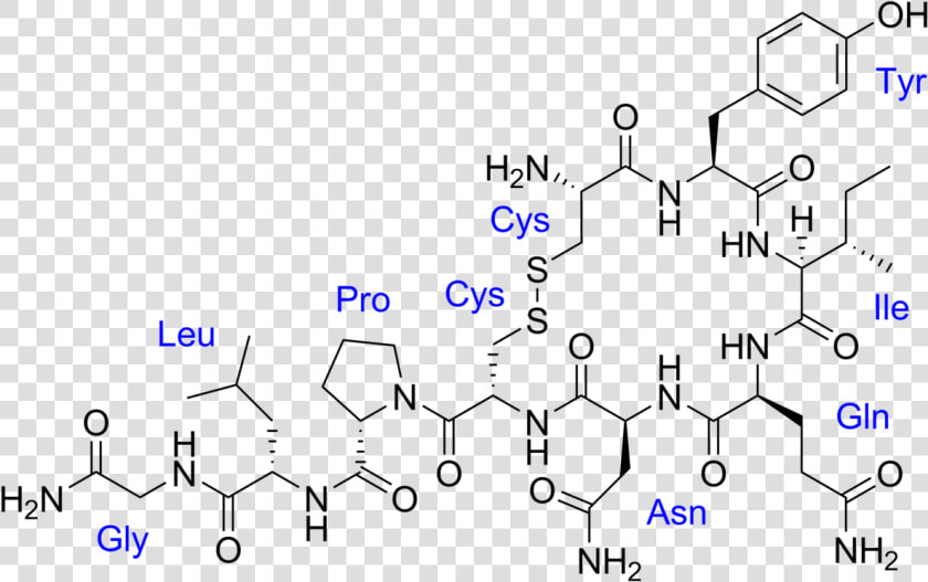 Estructura De La Oxitocina  HD Png DownloadTransparent PNG