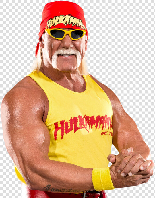 Wwe Hof   Hulk Hogan Png  Transparent PngTransparent PNG