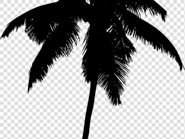 Palm Tree Silhouette Png   Palm Trees  Transparent PngTransparent PNG