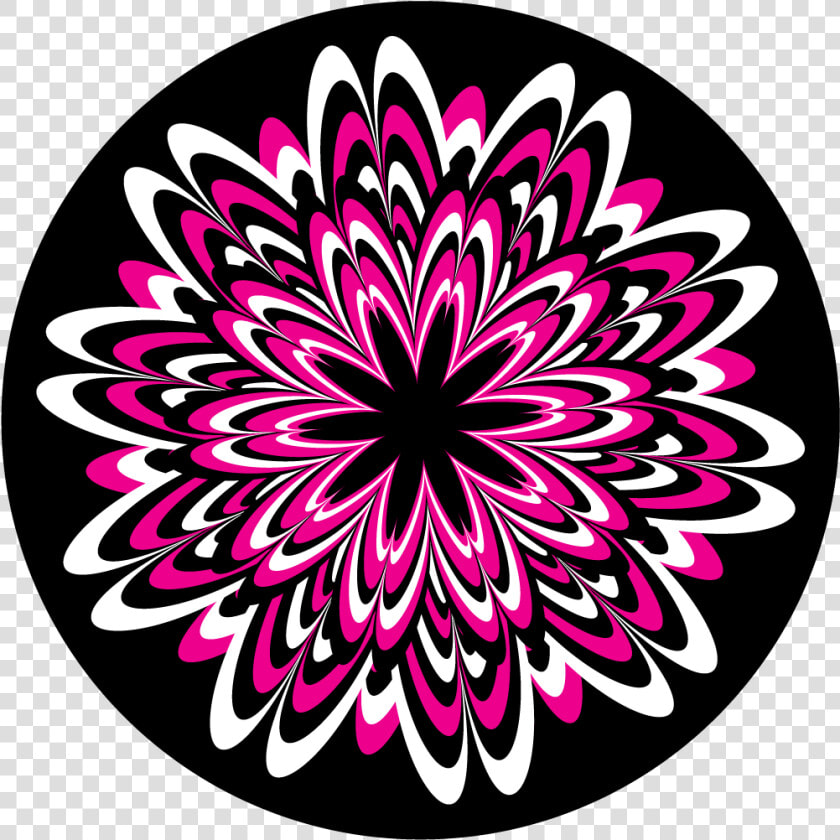 Apollo Design C2 1201 Flower Burst Glass Pattern   Spin That Wheel Png  Transparent PngTransparent PNG