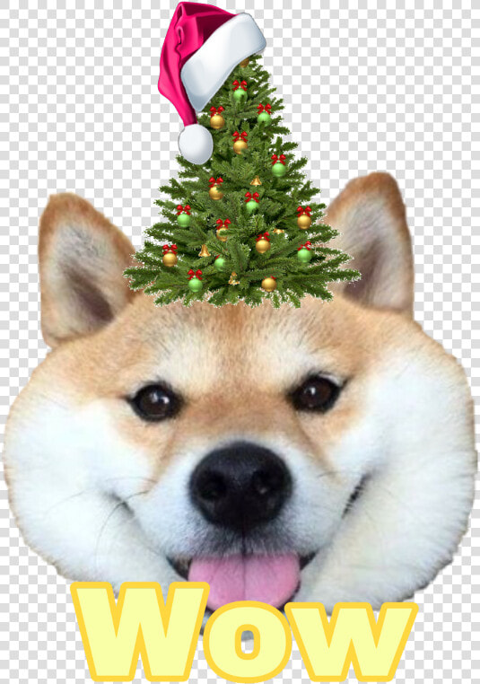 Shibe Transparent Pupper   Dog In A Box Funny  HD Png DownloadTransparent PNG