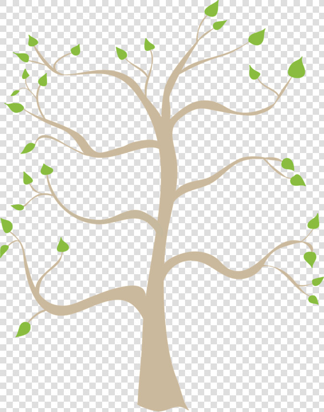 Family Tree Coloring Pages Printable Free Family Tree   Family Tree Tree Transparent Background  HD Png DownloadTransparent PNG