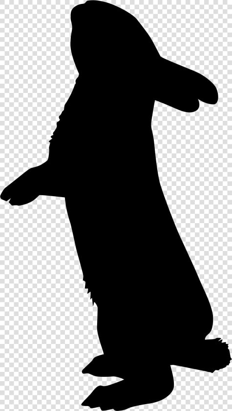 Silhouette Rabbit Photography Clip Art   Silhouette Rabbit  HD Png DownloadTransparent PNG