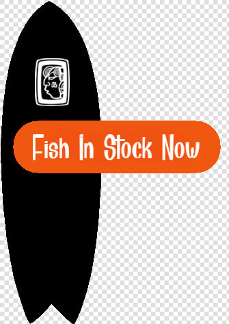 Fish Surfboards In Stock Now   Illustration  HD Png DownloadTransparent PNG