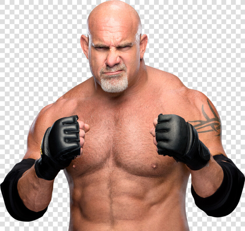 Goldberg Transparent  HD Png DownloadTransparent PNG