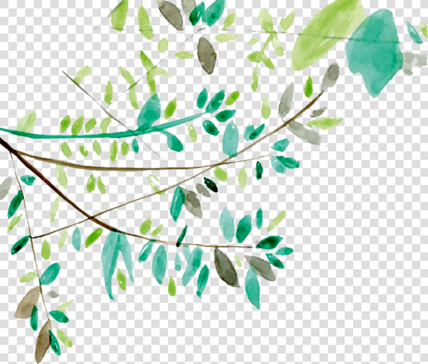 Ftestickers Watercolor Leaves Vines Greenery   Transparent Watercolor Clip Art Leaf  HD Png DownloadTransparent PNG